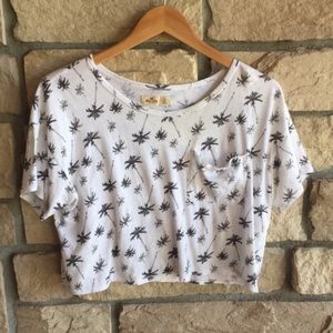 Hollister Palm Tree Crop Top